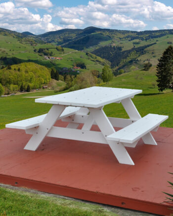 Picnic Package
